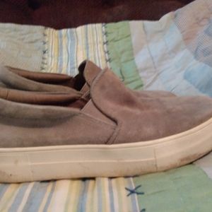 Steve madden